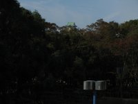 IMG_4087.JPG